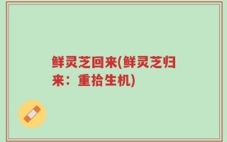鲜灵芝回来(鲜灵芝归来：重拾生机)