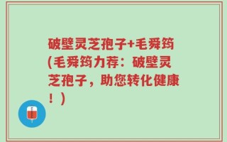破壁灵芝孢子+毛舜筠(毛舜筠力荐：破壁灵芝孢子，助您转化健康！)