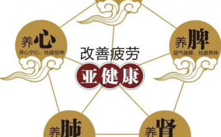 如何增加抵抗力？吃蛋白粉好还是吃灵芝孢子粉好？