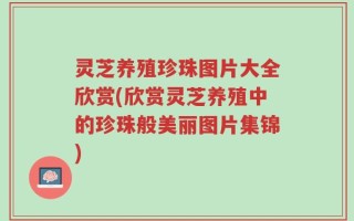 灵芝养殖珍珠图片大全欣赏(欣赏灵芝养殖中的珍珠般美丽图片集锦)