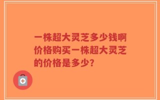 一株超大灵芝多少钱啊价格购买一株超大灵芝的价格是多少？