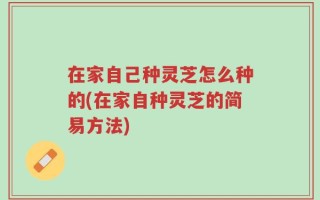 在家自己种灵芝怎么种的(在家自种灵芝的简易方法)