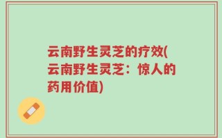 云南野生灵芝的疗效(云南野生灵芝：惊人的药用价值)