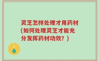 灵芝怎样处理才用药材(如何处理灵芝才能充分发挥药材功效？)