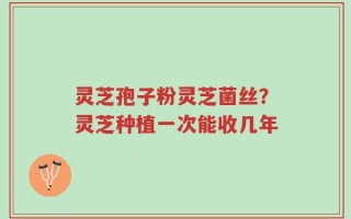 灵芝孢子粉灵芝菌丝？灵芝种植一次能收几年