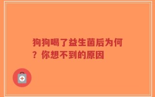 狗狗喝了益生菌后为何？你想不到的原因