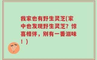 我家也有野生灵芝(家中也发现野生灵芝？惊喜相伴，别有一番滋味！)