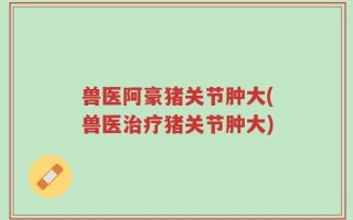 兽医阿豪猪关节肿大(兽医治疗猪关节肿大)