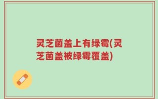 灵芝菌盖上有绿霉(灵芝菌盖被绿霉覆盖)
