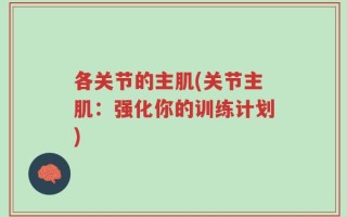 各关节的主肌(关节主肌：强化你的训练计划)