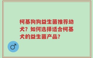 柯基狗狗益生菌推荐幼犬？如何选择适合柯基犬的益生菌产品？
