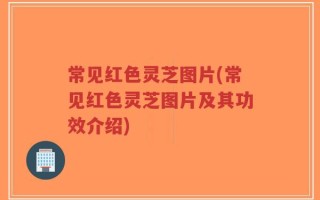 常见红色灵芝图片(常见红色灵芝图片及其功效介绍)