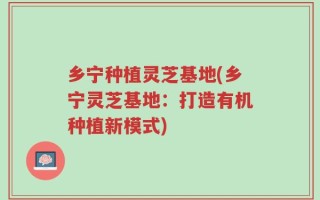 乡宁种植灵芝基地(乡宁灵芝基地：打造有机种植新模式)