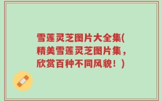 雪莲灵芝图片大全集(精美雪莲灵芝图片集，欣赏百种不同风貌！)