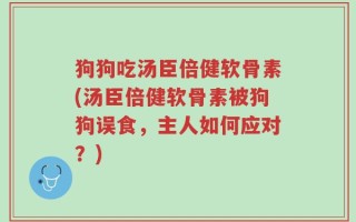 狗狗吃汤臣倍健软骨素(汤臣倍健软骨素被狗狗误食，主人如何应对？)