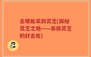去哪能采到灵芝(探秘灵芝之地——采摘灵芝的好去处)