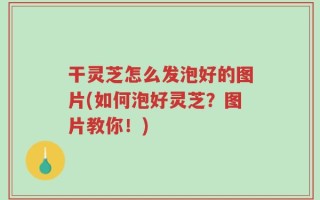 干灵芝怎么发泡好的图片(如何泡好灵芝？图片教你！)