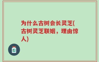 为什么古树会长灵芝(古树灵芝联姻，理由惊人)