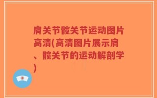 肩关节髋关节运动图片高清(高清图片展示肩、髋关节的运动解剖学)