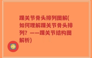 踝关节骨头排列图解(如何理解踝关节骨头排列？——踝关节结构图解析)