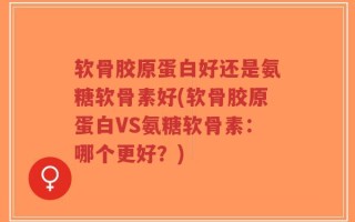 软骨胶原蛋白好还是氨糖软骨素好(软骨胶原蛋白VS氨糖软骨素：哪个更好？)