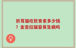 折耳猫吃软骨素多少钱？金吉拉猫容易生病吗