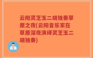 云阳灵芝玉二胡独奏草原之夜(云阳音乐家在草原深夜演绎灵芝玉二胡独奏)