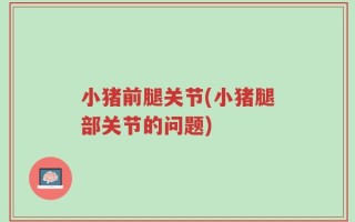 小猪前腿关节(小猪腿部关节的问题)