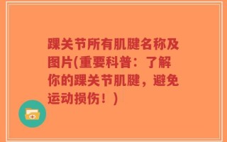 踝关节所有肌腱名称及图片(重要科普：了解你的踝关节肌腱，避免运动损伤！)