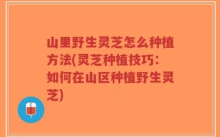 山里野生灵芝怎么种植方法(灵芝种植技巧：如何在山区种植野生灵芝)