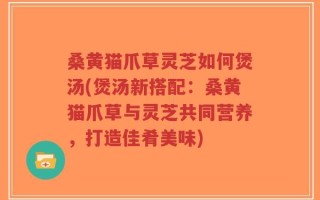 桑黄猫爪草灵芝如何煲汤(煲汤新搭配：桑黄猫爪草与灵芝共同营养，打造佳肴美味)