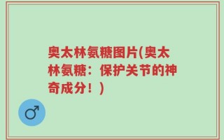 奥太林氨糖图片(奥太林氨糖：保护关节的神奇成分！)