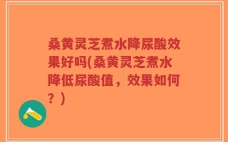 桑黄灵芝煮水降尿酸效果好吗(桑黄灵芝煮水降低尿酸值，效果如何？)