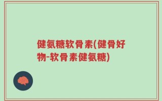 健氨糖软骨素(健骨好物-软骨素健氨糖)