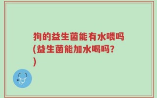 狗的益生菌能有水喂吗(益生菌能加水喝吗？)
