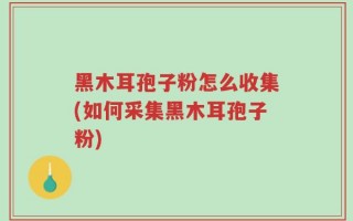 黑木耳孢子粉怎么收集(如何采集黑木耳孢子粉)