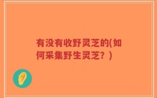 有没有收野灵芝的(如何采集野生灵芝？)