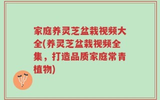 家庭养灵芝盆栽视频大全(养灵芝盆栽视频全集，打造品质家庭常青植物)