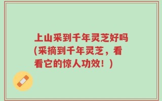 上山采到千年灵芝好吗(采摘到千年灵芝，看看它的惊人功效！)