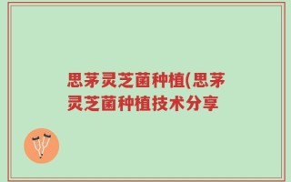 思茅灵芝菌种植(思茅灵芝菌种植技术分享