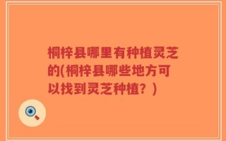 桐梓县哪里有种植灵芝的(桐梓县哪些地方可以找到灵芝种植？)