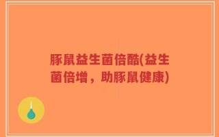 豚鼠益生菌倍酷(益生菌倍增，助豚鼠健康)
