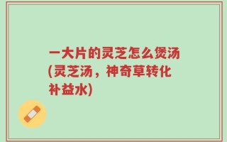 一大片的灵芝怎么煲汤(灵芝汤，神奇草转化补益水)
