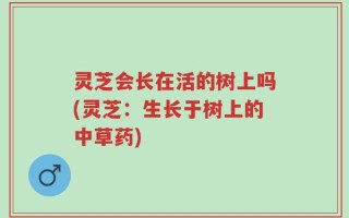 灵芝会长在活的树上吗(灵芝：生长于树上的中草药)