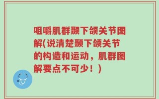 咀嚼肌群颞下颌关节图解(说清楚颞下颌关节的构造和运动，肌群图解要点不可少！)