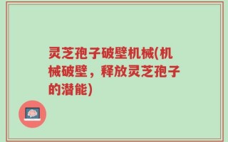 灵芝孢子破壁机械(机械破壁，释放灵芝孢子的潜能)