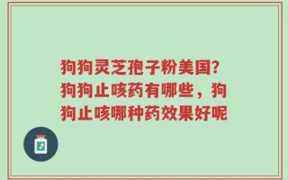狗狗灵芝孢子粉美国？狗狗止咳药有哪些，狗狗止咳哪种药效果好呢