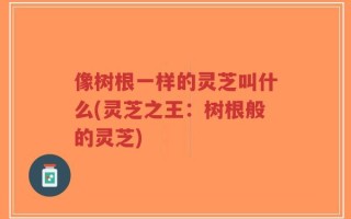 像树根一样的灵芝叫什么(灵芝之王：树根般的灵芝)