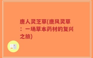唐人灵芝草(唐风灵草：一场草本药材的复兴之旅)