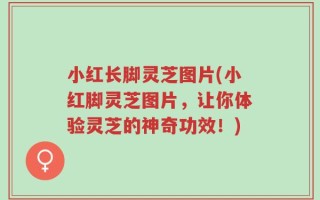 小红长脚灵芝图片(小红脚灵芝图片，让你体验灵芝的神奇功效！)